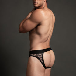 Lace Open Back Brief - Feel The Essence 